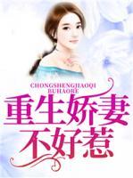 重生嬌妻不好惹