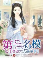 第一名模：老婆大人是殺手