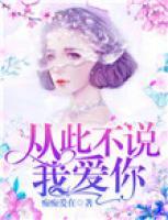 從此不說我愛你