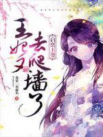 啟稟王爺：王妃又去爬墻了