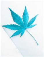 總裁霸道愛：冷少的私寵寶貝