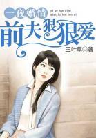 一夜婚情：前夫狠狠愛