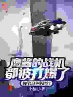 鷹醬的戰(zhàn)機(jī)都被打爆了，你管這叫模型？