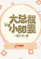 大總裁VS小甜妻