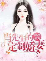 暖婚甜寵：肖先生的定制嬌妻
