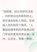 被開除后，我成了前公司的甲方