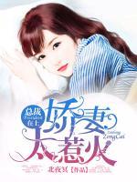 總裁在上：嬌妻太惹火