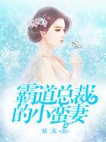霸道總裁的小蠻妻