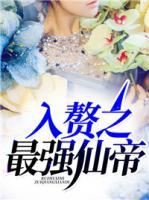 入贅之最強(qiáng)仙帝