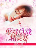 孽緣總裁精靈妻
