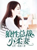 狼性總裁小柔妻