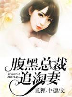 腹黑總裁追淘妻