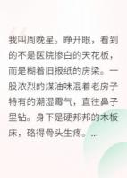 重生八零，我要當(dāng)萬(wàn)元戶(hù)