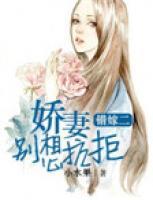 錯(cuò)嫁2：嬌妻別想抗拒