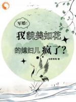 軍婚：我貌美如花的媳婦兒瘋了？