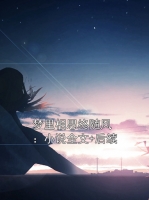 夢里相思終隨風(fēng)：小說全文+后續(xù)