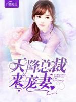 天降總裁來寵妻