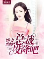嬌妻難纏總裁投降吧