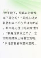 側(cè)妃出逃，世子殿下瘋了