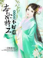 紈绔傻妃：本妃特工不好惹