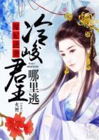 魔妃逆襲：冷峻君王哪里跑