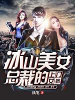 冰山美女總裁的上門女婿