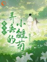 楚書記弄丟的小雛菊