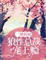 二婚新娘：狼性總裁寵上癮