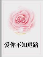 愛(ài)你不知退路