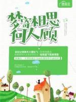 夢寄相思何人顧