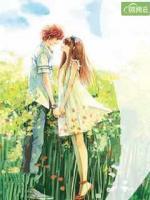 帝少蜜愛失憶妻