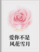 愛你不是風(fēng)花雪月