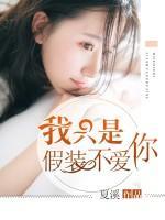 我只是假裝不愛你