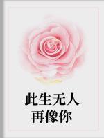 此生無人再像你