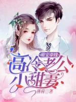 萌寶牽線：高冷老公小甜妻