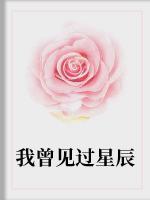 我曾見過星辰