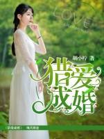 獵愛成婚