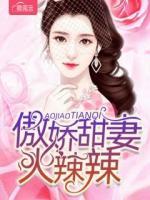 傲嬌甜妻火辣辣