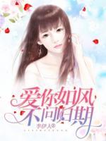 愛(ài)你如風(fēng)，不問(wèn)歸期