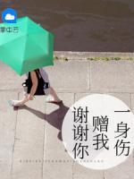 謝謝你贈(zèng)我一身傷