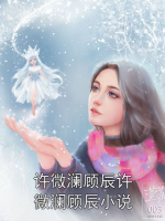 許微瀾顧辰許微瀾顧辰小說
