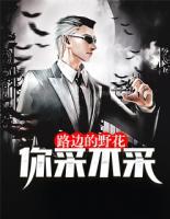 路邊的野花你采不采