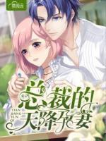 總裁的天降孕妻