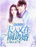 總裁，夫人又去民政局了