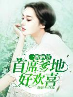 一胎兩寶：首席爹地好歡喜