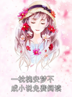 一枕槐安夢不成小說免費閱讀