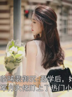 晏臨晞裴御沉:退學(xué)后，她被軍方大佬盯上了熱門(mén)小說(shuō)