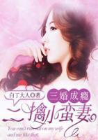 三婚成癮：二擒小蠻妻