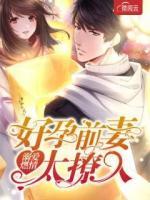 溺愛(ài)燃情：好孕前妻太撩人