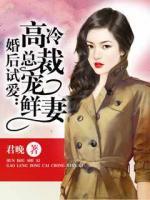 婚后試愛：高冷總裁寵鮮妻